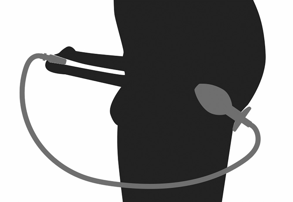 plug-534234s Piss to Ass Plug