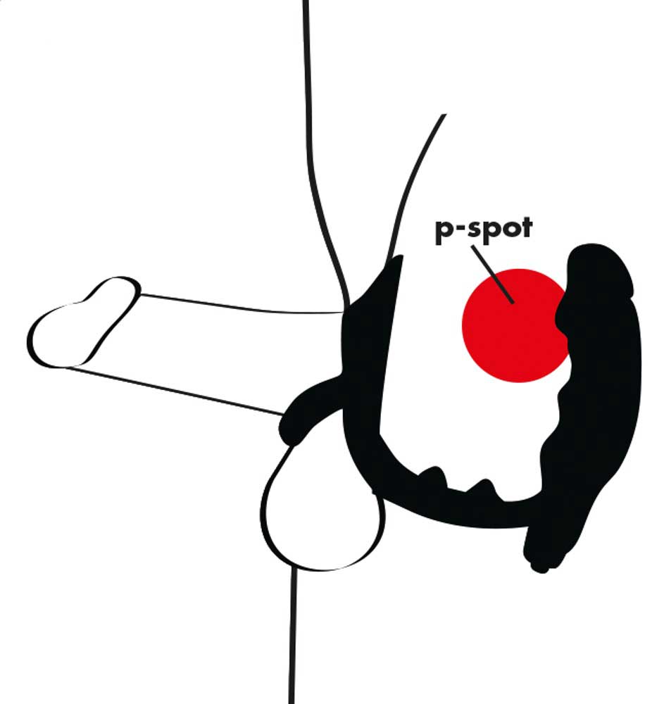 Penisring mit Analplug
